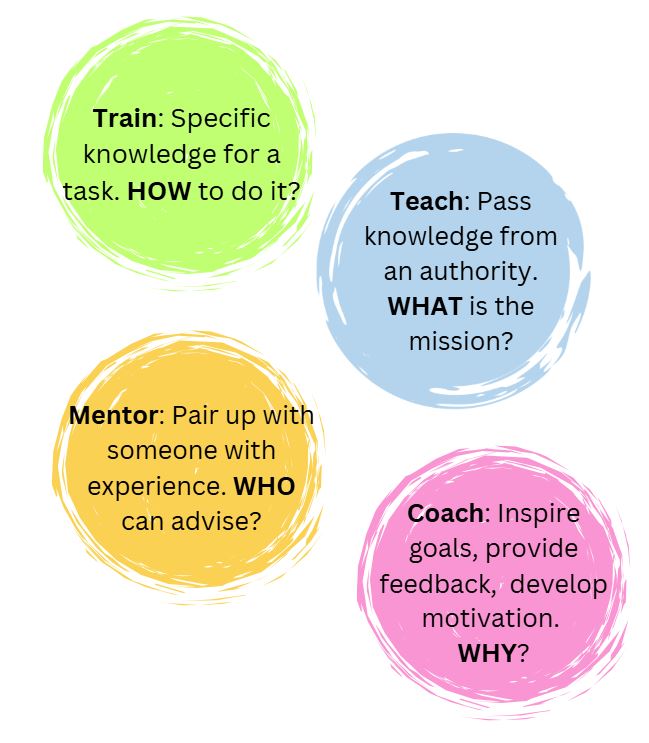 Train, Teach, Mentor, Coach infographic